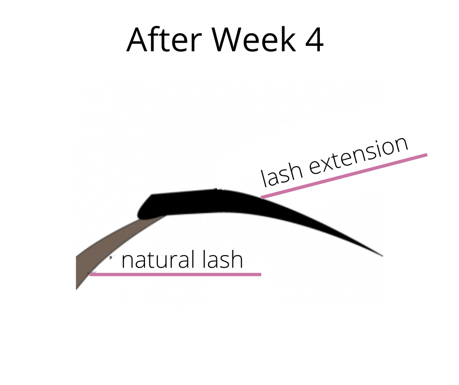 eyelash extension fill after week 4
