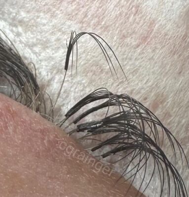 Eyelash Extensions Don't Fall Off if done properly - picture of actual client - cg lash studio, regina sk