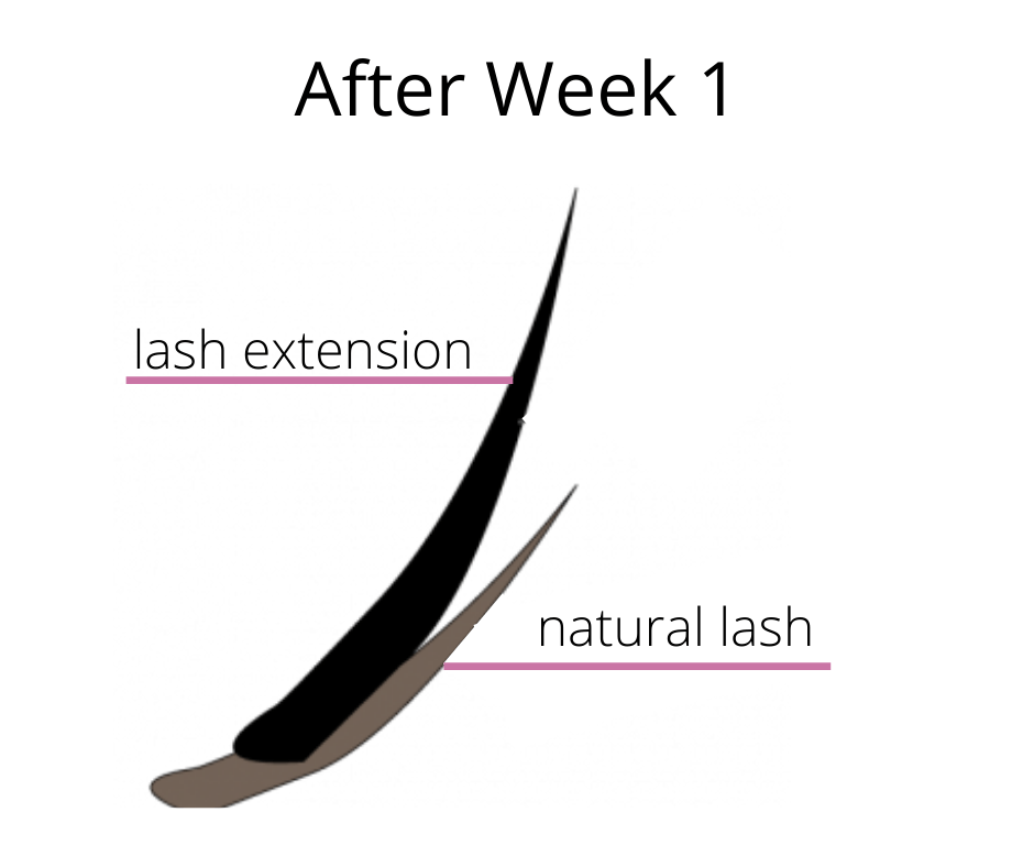 Lash Extensions Don't Fall Off - After week 1 - cg lash studio