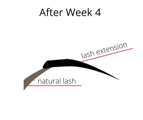 Lash Extensions Don't Fall Off CG Lash Studio Regina Sk